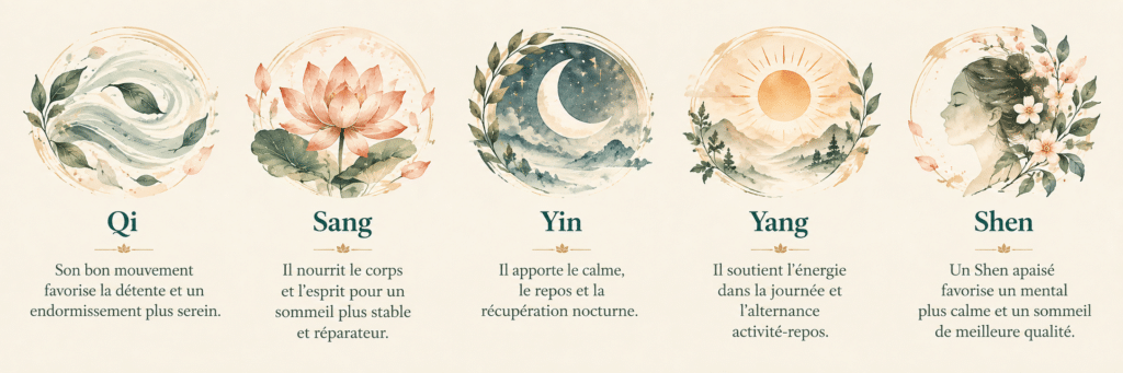 qi, sang, yin, yang et Shen en médecine chinoise à Alès