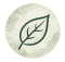 Emblème feuille sur aquarelle naturelle